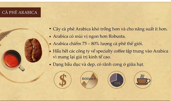 Đặc điểm của hạt cà phê Arabica