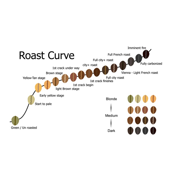 Profile rang cà phê và những điều bạn nên biết